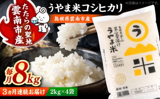白米 【全3回定期便】神話の里/吉田町「うやま米」コシヒカリ 8kg（2kg×4）白米 精米 コメ おすすめ 人気 お米 米 ごはん ご飯 食卓 主食 ブランド米 お取り寄せ グルメ ご当地米 贈り物 贈答 家族 ファミリー 定期便 小分け 便利 毎月お届け 8キロ おいしい 国産 新生活 ストック 毎日 お弁当 朝ごはん 島根県雲南市/有限会社藤本米穀店 [AIDB078]