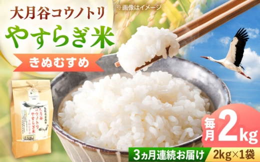 お米【全3回定期便】大月谷コウノトリやすらぎ米 2kg きぬむすめ 米 こめ おこめ はくまい 白米 ライス 精米 コメ 2キロ 使いやすい ごはん ご飯 おにぎり お弁当 朝ごはん 便利 朝食 食卓 主食 グルメ おいしい 上品 ツヤ 国産 新生活 一人暮らし 家族 ご当地 ごはんソムリエ おうちごはん おすすめ 人気 定期便 島根県雲南市/有限会社藤本米穀店 [AIDB137]