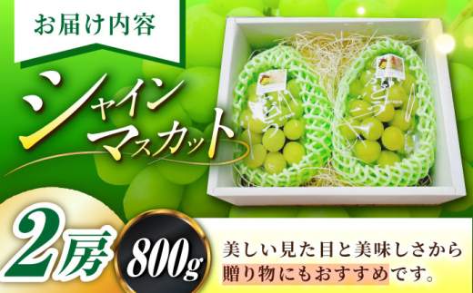 フルーツ【2026年先行予約】【8月初旬頃から順次発送】皮ごと食べれる！シャインマスカット 2房 約800g ぶどう 葡萄 皮ごと 種なし 果物 産直 産地直送 旬 プレミアム マスカット 大粒 甘い デザート スイーツ 農園 果汁 美味しい アレンジ 皮ごと 雲南 絶品 季節 旬 2房 産地直送 フルーツ ご当地 人気 おすすめ島根県雲南市/池田ぶどう農園　 [AIAA002]