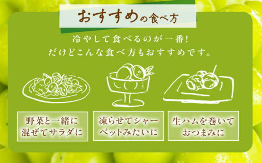 フルーツ	【2026年先行予約】【50個限定】【贈答用】旬の味わいを産地直送で！シャインマスカット 2房（約1kg）秀品・化粧箱入り ぶどう 葡萄 皮ごと 種なし 果物 産直 産地直送 旬 限定 先行予約 高級 ギフト 贈答 贈り物 プレミアム マスカット 大粒 甘い デザート スイーツ 雲南 絶品 フルーツ ご当地 人気 おすすめ 島根県雲南市/ギアファーム [AIAB001]