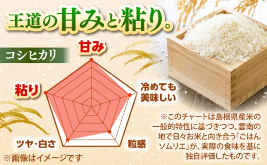 【寄附額改定↓】雲南市産コシヒカリ 5kg 米 お米 白米 精米 おこめ コメ 島根コシヒカリ 5kg袋 おすすめ 人気 お取り寄せ 銘柄米 島根県雲南市/有限会社藤本米穀店 [AIDB105] 5kg