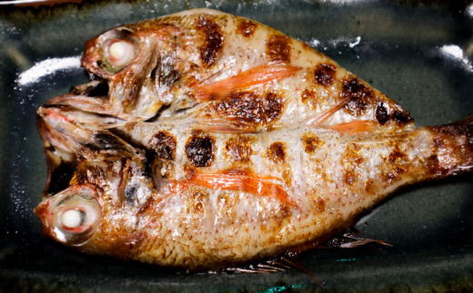 漬け魚 【島根特産・海と山の幸のコラボ！驚きの美味さ】のどぐろ塩糀漬け 500g | 魚 さかな 魚介 うまい 美味しい のどぐろ アカムツ 魚 魚介類 ノドグロ アカムツ 高級魚 塩麹漬け 塩糀漬け 500g 大容量 冷凍 個包装 焼くだけ 簡単調理 おかず 惣菜 ご飯のお供 お弁当 おつまみ つまみ 人気 おすすめ 美味しい 贅沢 ご褒美 島根県雲南市/有限会社石田魚店 [AICQ006]