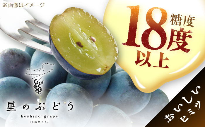 【先行予約：2026年8月中旬より発送】【贈答用】旬の味わいを農家直送で！ピオーネ 1房（約450g）秀品・化粧箱入り 島根県雲南市/ギアファーム [AIAB015]