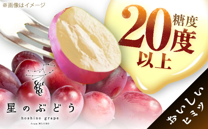 【先行予約：2026年8月中旬より発送】【数量限定】贈り物におすすめ！島根オリジナルぶどう神紅・ジュエリーBOX 16粒(約280g) 島根県雲南市/ギアファーム [AIAB019]