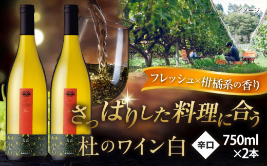 ワイン 奥出雲葡萄園 杜のワイン白　2本セット? ?国産 ワイン セット 白ワイン 2本 2本セット 詰め合わせ 飲み比べ セット お酒 酒 アルコール 日本ワイン 国産ワイン 地ワイン 750ml やや甘口 スッキリ 飲みやすい お取り寄せ プレゼント 贈答 お祝い 誕生日 記念日 パーティー 人気 おすすめ 送料無料 冷酒 島根県雲南市/有限会社奥出雲葡萄園[AICS053]