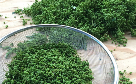 佃煮 【奥出雲山椒】「頼むからごはんください」ジャコのり・ジャコみそ各2個セット | おつまみ ごはんのお供 贈答用 セット 美味しい 佃煮 のり みそ おかず 山椒 ジャコ 奥出雲 調味料 郷土料理 伝統 食材 美味しい 名産品 詰め合わせ 贈り物 ギフト つくだ煮 お取り寄せ 人気 ごはん ジャコ 味噌 セット 出雲 奥出雲 雲南 島根県雲南市/いずも八山椒有限会社 [AIAF001]