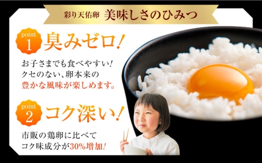 《月2回 × 20個 6ヵ月コース》 たたらの里平飼い 彩り天佑卵 全12回定期便 たまご 卵 放牧卵 平飼い卵 国産卵 タマゴ 玉子 鶏卵 鶏 卵黄 月2回 卵20個 6ヵ月 定期 新鮮卵 卵定期便 たまご定期便 卵料理 卵かけごはん 卵焼き 玉子焼き パック卵 便利 ストック卵 人気 美味しい卵 おすすめ 天佑卵 島根県雲南市/株式会社たなべたたらの里（たなべ森の鶏舎） [AIDL022]