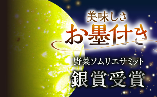フルーツ	【2026年先行予約】【25個限定】贈り物におすすめ！シャインマスカット ジュエリーBOX 16粒(約300g) マスカット ぶどう 葡萄 皮ごと 種なし 果物 産直 産地直送 旬 限定 先行予約 高級 ギフト 贈答 贈り物 プレミアム  ジュエリーBOX 大粒 甘い デザート スイーツ 雲南 絶品 フルーツ ご当地 人気 おすすめ島根県雲南市/ギアファーム [AIAB009]