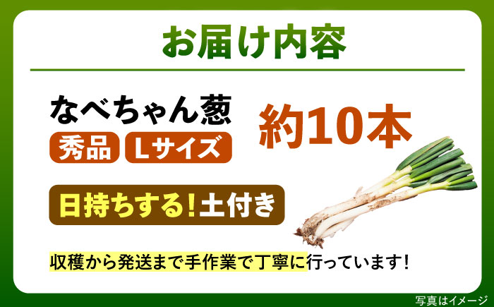 【先行予約】【2026年11月発送開始】ねぎ 焼いてそのまま美味しい！なべちゃん葱(土付き) 秀品 Lサイズ2.5kg 約10本 ねぎ ネギ 野菜 白ネギ 長ネギ 2.5kg 2.5キロ 産地直送 鍋 すき焼き 焼肉 BBQ 薬味 新鮮 美味しい 甘い 土付き 島根県雲南市/山さんファーム [AICO004]