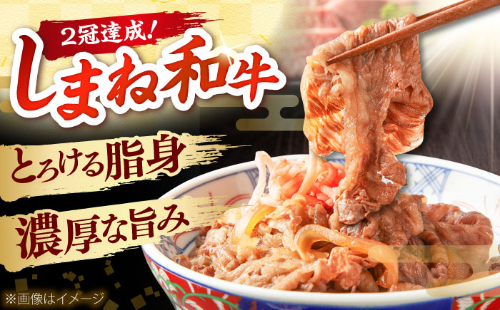 しまね和牛 切り落とし 1kg 和牛 牛肉 スライス / 島根県雲南市 / フジキコーポレーション株式会社 [AIEA001]