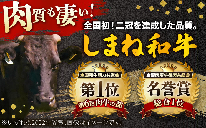 しまね和牛 ヒレステーキ1kg 和牛 牛肉 国産 国産牛 赤身 ステーキ ヒレ 人気 黒毛和牛 ギフト 島根県雲南市/株式会社O.R.C [AIEF024]