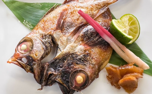 のどぐろの西京漬け1本 のどぐろ 魚介 西京漬け 魚 焼き魚 おかず 高級魚 アカムツ 島根県雲南市/有限会社田丸屋魚店 [AIEH002]