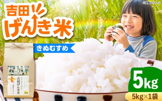 お米 吉田げんき米きぬむすめ 5kg 米 こめ おこめ はくまい 白米 ライス げんき米 精米 コメ 5キロ 使いやすい ごはん ご飯 おにぎり お弁当 朝ごはん 便利 朝食 食卓 主食 グルメ おいしい つや あっさり 飽きない もっちり 食感 国産 新生活 一人暮らし 家族 ご当地 ごはんソムリエ おうちごはん おすすめ 人気島根県雲南市/有限会社藤本米穀店 [AIDB129]
