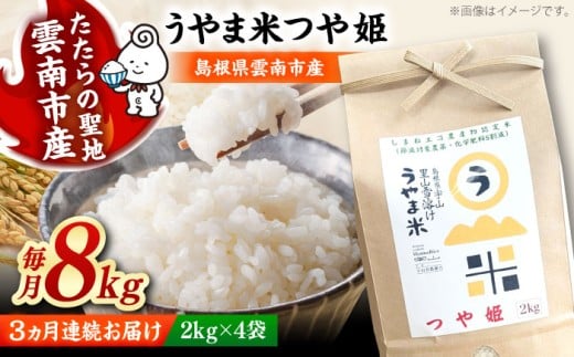 お米【全3回定期便】神話の里/吉田町「うやま米」つや姫 8kg（2kg×4）白米 精米 コメ おこめ お米 つやひめ 定期便 おすすめ 人気 米 ごはん ご飯 食卓 主食 ブランド米 お取り寄せ グルメ ご当地米 家族 ファミリー 一人暮らし 便利 8キロ おいしい ごはんソムリエ ミネラル 国産 新生活 お弁当 朝ごはん 朝食 昼食 ご当地 島根県雲南市/有限会社藤本米穀店 [AIDB090]