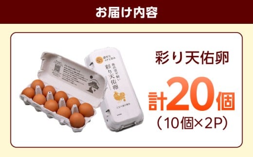 卵 【平飼い卵】黄身の濃厚なコクと白身の甘み！たたらの里平飼い 彩り天佑卵 20個入り（10個×2P）たまご 放牧卵 玉子 タマゴ 鶏卵 生卵 国産 平飼い 放し飼い 卵焼き 卵かけご飯 TKG 朝食 朝ごはん ご褒美 コク 旨み 贅沢 お取り寄せ 毎日食べたい卵 美容 健康 単品 1万 お試し 人気 高評価 ランキング 島根県雲南市/株式会社たなべたたらの里（たなべ森の鶏舎） [AIDL011]