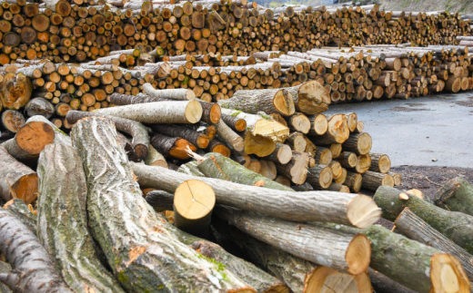 薪 雲南市 里山の薪(40cm) 20kg まき 薪 焚火 暖炉 キャンプ アウトドア まき マキ 焚き火 たき火 焚火 40�p薪 20kg薪 薪ストーブ ストーブ キャンプ薪 アウトドア薪 ソロキャンプ キャンプファイヤー BBQ バーベキュー 燃料 20kg 20キロ 大容量 乾燥薪 広葉樹 ナラ クヌギ 大容量薪 雲南市薪 島根県雲南市/合同会社グリーンパワーうんなん [AIBL007]