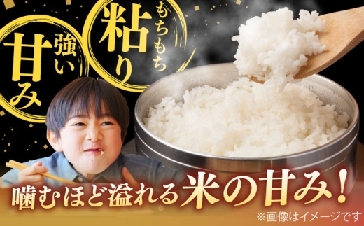 【寄附額改定↓】雲南市産コシヒカリ 5kg 米 お米 白米 精米 おこめ コメ 島根コシヒカリ 5kg袋 おすすめ 人気 お取り寄せ 銘柄米 島根県雲南市/有限会社藤本米穀店 [AIDB105] 5kg