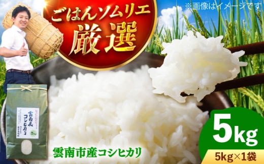 【寄附額改定↓】雲南市産コシヒカリ 5kg 米 お米 白米 精米 おこめ コメ 島根コシヒカリ 5kg袋 おすすめ 人気 お取り寄せ 銘柄米 島根県雲南市/有限会社藤本米穀店 [AIDB105] 5kg