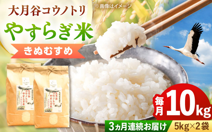 お米【全3回定期便】大月谷コウノトリやすらぎ米 10kg（5kg×2袋）きぬむすめ 米 こめ おこめ はくまい 白米 ライス 精米 コメ 10キロ 使いやすい ごはん ご飯 おにぎり お弁当 朝ごはん 便利 朝食 食卓 主食 グルメ おいしい 国産 新生活 一人暮らし 家族 ご当地 ごはんソムリエ おうちごはん おすすめ 人気 定期便 島根県雲南市/有限会社藤本米穀店[AIDB139]