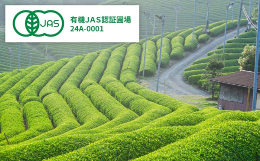 お茶 ふるさとの味 あんがいまいよ 煎茶・和紅茶セット ティーバッグ 飲み比べ 紅茶 煎茶 日本茶 緑茶 煎茶 和紅茶 国産紅茶 紅茶 2種 セット 詰め合わせ 飲み比べセット 飲料 ドリンク 茶葉 ティーバッグ ティーパック 簡単 手軽 お取り寄せグルメ カテキン 健康 人気 おすすめ 産地直送 ギフト 贈り物 プレゼント 贈答 島根 雲南 島根県雲南市/砂子原茶業組合 [AIBV004]