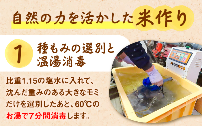 【先行予約】【2026年9月下旬順次発送】令和8年産 白米 雲南市産きぬむすめ 5kg 島根県雲南市/佐藤ファーム ｜精米 コメ 有機栽培 無農薬 美味しまね認証 [AIEO002]