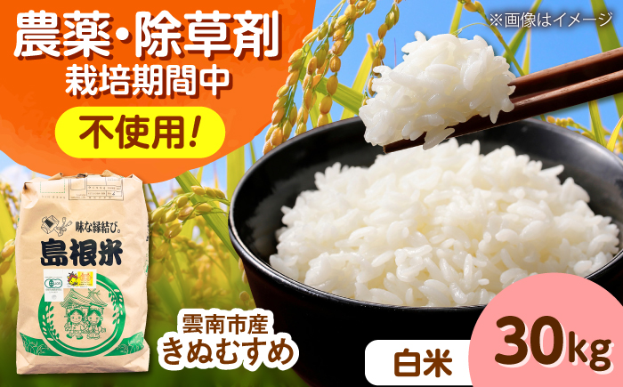 【有機JAS認定】令和7年産 白米 雲南市産きぬむすめ 30kg（10kg×3袋） 島根県雲南市/佐藤ファーム ｜精米 コメ 有機栽培 完全無農薬 美味しまね認証 [AIEO004]