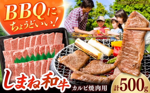 カルビ【焼肉におすすめ!】しまね和牛カルビ 500g 牛肉 和牛 肉 にく 国産 国産牛 牛 焼肉 しまね和牛 スライス  かるび 人気 黒毛和牛 BBQ おすすめ 焼き肉 バーベキュー 肉 お肉 ブランド牛 贈答 贈り物 プレゼント ご褒美 お取り寄せ グルメ 家族 ファミリー 手軽 カルビ肉 焼くだけ 誕生日 お祝い 島根県雲南市/フジキコーポーレーション株式会社 [AIEA010]