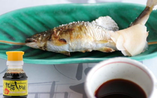 すぐに贅沢、一滴から。さい仕込み卓上醤油100ml×3本セット 調味料 醤油 卓上醤油 しょうゆ こいくち うすくち ギフト 詰め合わせ お歳暮 島根県雲南市/有限会社紅梅しょうゆ [AICV038]