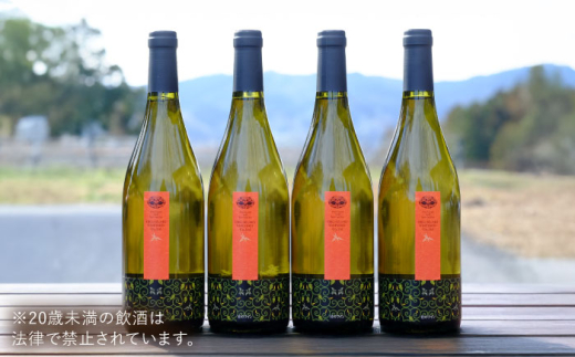 ワイン 奥出雲葡萄園 杜のワイン白　4本セット 国産 ワイン セット 白ワイン 4本 4本セット 詰め合わせ 飲み比べ セット まとめ買い お酒 酒 アルコール 日本ワイン 国産ワイン 地ワイン 750ml やや甘口 スッキリ 飲みやすい お取り寄せ プレゼント お祝い 誕生日 記念日 パーティー 人気 おすすめ 送料無料 島根県雲南市/有限会社奥出雲葡萄園 [AICS061]