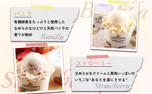 アイスクリーム VANAGAプレミアムご当地アイス12個とアイス専用スプーン（ゴールド1本）の13点セット | アイスクリーム アイス 濃厚 バニラ デザート アイス 12個 12個入り セット 詰め合わせ 食べ比べ スプーン アイススプーン 熱伝導スプーン デザート スイーツ おやつ ごほうび 木次乳業 バニラ お取り寄せ プレゼント 島根県雲南市/やまざと.com [AICN001]