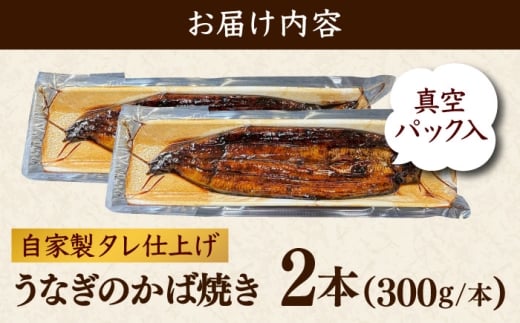 鰻のかば焼き2本 鰻 うなぎ ウナギ かば焼き 土用の丑の日 小分け 惣菜 人気 おすすめ 島根県雲南市/有限会社田丸屋魚店 [AIEH005]