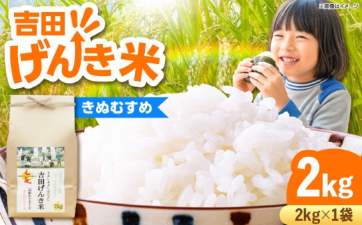 お米 吉田げんき米きぬむすめ 2kg 米 こめ おこめ はくまい 白米 ライス げんき米 精米 コメ 2キロ 使いやすい ごはん ご飯 おにぎり お弁当 朝ごはん 便利 朝食 食卓 主食 グルメ おいしい つや あっさり 飽きない もっちり 食感 国産 新生活 一人暮らし 家族 ご当地 ごはんソムリエ おうちごはん おすすめ 人気 島根県雲南市/有限会社藤本米穀店[AIDB128]