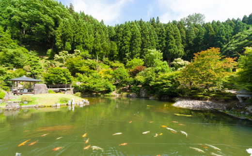 チケット 回遊式日本庭園「石照庭園」茶懐石ペアチケット ペアご招待 旅行 ツアー 体験 日本庭園  ご褒美 旅 お庭 回遊式 庭園 和 懐石 和食 観光 思い出 ギフト 贈り物 贈答品 人気 おすすめ 島根県 雲南市 春 夏 秋 冬 四季 季節 花 木 シャクナゲ 石楠花 エビネラン 滝 花しょうぶ 花菖蒲 ハナショウブ 紅葉 もみじ 四季折々 癒し 島根県雲南市/石照庭園 [AIAC003]
