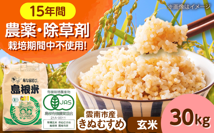 【有機JAS認定】令和7年産 玄米 雲南市産きぬむすめ 30kg（10kg×3袋） 島根県雲南市/佐藤ファーム ｜玄米 コメ 有機栽培 完全無農薬 美味しまね認証 [AIEO008]