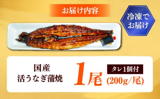 【うなぎの美味しさはタレで決まる！】うなぎ 自慢の味・国産活うなぎ蒲焼（1本入）| うなぎ タレ 蒲焼 国産 美味しい うな丼 鰻重 魚 鰻 蒲焼き 1本 1尾 1人前 国産うなぎ 活うなぎ タレ付き 山椒付き 土用の丑の日 スタミナ ご飯のお供 ごはんのおとも おかず おつまみ 惣菜 冷凍 簡単調理 贅沢 ご褒美 国産 贈り物 おもてなし  島根県雲南市/有限会社石田魚店 [AICQ002]