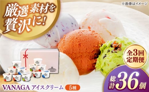 アイスクリーム 【全3回定期便】ご褒美アイスにぴったり！VANAGA 5種類のアイスクリーム12個入り アイスクリーム アイス 3回 3ヶ月 毎月 12個 12個入り 5種 5種類 詰め合わせ セット 食べ比べ デザート スイーツ おやつ ごほうび 木次乳業 バニラ ストロベリー 抹茶あずき ビターチョコ ブルーベリー 島根 雲南 島根県雲南市/木次乳業有限会社 [AIBH029]