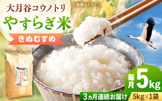 お米【全3回定期便】大月谷コウノトリやすらぎ米 5kg きぬむすめ 米 こめ おこめ はくまい 白米 ライス 精米 コメ 5キロ 使いやすい ごはん ご飯 おにぎり お弁当 朝ごはん 便利 朝食 食卓 主食 グルメ おいしい 上品 ツヤ 国産 新生活 一人暮らし 家族 ご当地 ごはんソムリエ おうちごはん おすすめ 人気 定期便 島根県雲南市/有限会社藤本米穀店 [AIDB138]