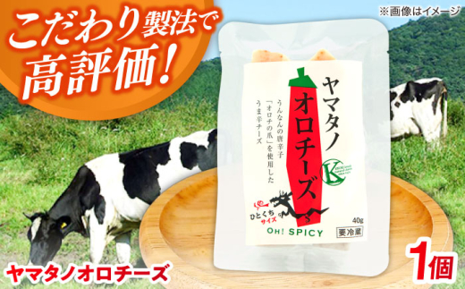 チーズ ヤマタノオロチーズ 1個 40g | チーズ 乳製品 人気 おすすめ ヤマタノオロチ 八岐大蛇 ハードチーズ 40g 1個 ナチュラルチーズ 木次乳業 きすき 冷蔵 産地直送 お取り寄せグルメ ご当地グルメ 国産 国内製造 美味しい おつまみ つまみ ワインのお供 日本酒のお供 濃厚 旨味 熟成 長期熟成 人気 おすすめ 島根 雲南 島根県雲南市/木次乳業有限会社 [AIBH020]