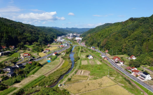 コーヒー 【粉】【全12回定期便】自家焙煎 シングルオリジン コーヒー100g×1種類 手廻しロースター 長時間焙煎 コーヒー粉 粉 中挽き 珈琲 2回 12ヶ月 1年 毎月 100g シングルオリジン 自家焙煎 飲み比べ お取り寄せグルメ お取り寄せ 人気 おすすめ おいしい 島根 雲南 島根県雲南市/つちのと舎 コーヒー 珈琲 [AIBY001-2]