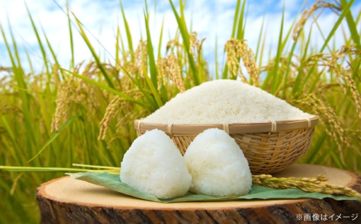 お米【全3回定期便】たたら焔米 雲南市プレミアムつや姫 2kg(2kg×1袋) 令和7年産 2025年産 米 お米 白米 精米 こめ コメ ご飯 ブランド米 特別栽培米 国産米 銘柄米 人気 おすすめ 特A 特A評価 食味特A JA プレミアムつや姫 小分け お試し 2kg 定期便 3回 3カ月 毎月 島根県雲南市/島根県農業協同組合 雲南地区本部 頓原加工所 [AIBR016]