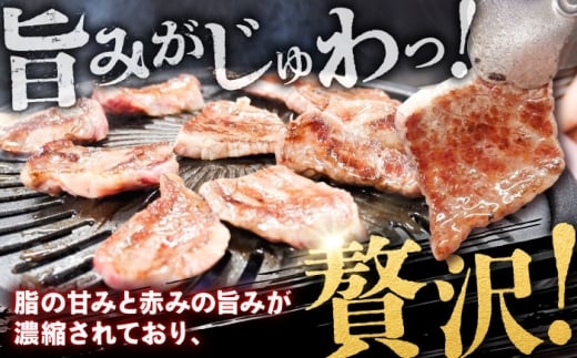 牛肉【高級部位】しまね和牛ザブトン500g 和牛 牛肉 にく お肉 国産 国産牛 焼肉 やきにく リブロース 人気 黒毛和牛 しまね和牛 わぎゅう ザブトン 高級 島根県 雲南市 500g肉 ザブトン500g リブロース キャップ 霜降り お取り寄せ グルメ 霜降り肉 晩ごはん おうちごはん バーベキュー BBQ キャンプ 贅沢 肉料理 島根県雲南市/株式会社O.R.C [AIEF018]
