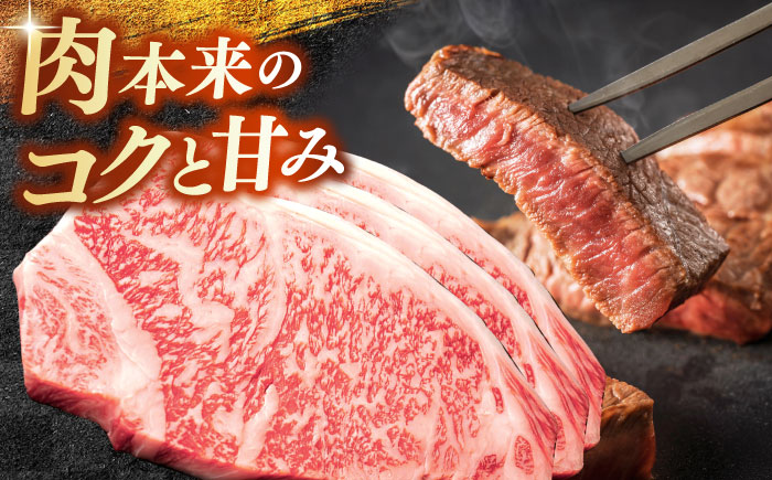 ステーキ 【奥出雲和牛】サーロインステーキ 600g(200g×3枚) / サーロインステーキ ステーキ ステーキ肉 牛肉 肉 お肉 焼肉 和牛 和牛ステーキ 牛ステーキ 黒毛和牛 ブランド牛 冷凍配送 お祝い肉 贅沢肉 600gステーキ サーロイン すてーき おかず 自宅用 高級ステーキ 人気 おすすめステーキ 島根県雲南市/島根県農業協同組合 雲南地区本部 畜産加工所 [AIBQ004] 