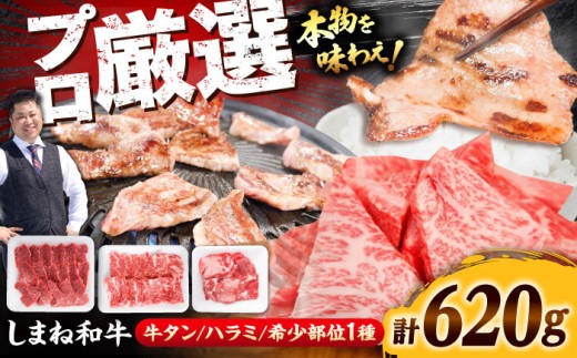 【希少部位が一度に楽しめる！】希少部位焼肉セット（620g）和牛 牛肉 国産 国産牛 赤身 焼肉 ステーキ タン ハラミ ミスジ ザブトン 人気 詰め合わせ 黒毛和牛 ギフト 島根県雲南市/株式会社O.R.C [AIEF014]