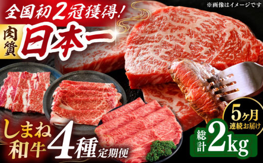 牛肉 定期便 【全5回定期便】肉質日本一！しまね和牛 寄附額10万円分 計2kg 食べ比べ セット 和牛 牛肉 ステーキ 焼肉 おすすめ 人気 定期便 詰め合わせ 詰合せ 国産牛 黒毛和牛 ブランド牛 お肉 肉 贈答 贈り物 ギフト プレゼント お祝い ご褒美 お取り寄せ グルメ 大容量 豪華 記念日 誕生日 お誕生日 島根県雲南市/Do corporation株式会社 [AIDI017]