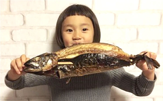 焼き魚 【郷土料理】焼さば 3本 | 焼さば 魚 さば 焼き魚 郷土料理 塩さば 鯖 さば 冷凍 食品 小分け 大容量 人気 魚 魚介 海鮮 弁当 惣菜 贈答 プレゼント ギフト お取り寄せ グルメ 焼き鯖 焼鯖 鯖 サバ 3本 3本セット 詰め合わせ セット おかず 惣菜 ご飯のお供 おつまみ つまみ ビールのお供 日本酒のお供 簡単調理 島根県雲南市/長谷川鮮魚店 [AICG004]