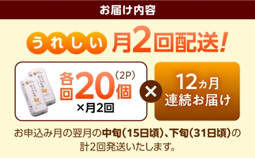 卵《月2回 × 20個 12ヵ月コース》 たたらの里平飼い 彩り天佑卵 全24回定期便 たまご 卵 放牧卵 平飼い卵 国産卵 タマゴ 玉子 鶏卵 鶏 卵黄 月2回 卵20個 12ヵ月 定期 新鮮卵 卵定期便 たまご定期便 卵料理 卵かけごはん 卵焼き 玉子焼き パック卵 便利 ストック卵 人気 美味しい卵 おすすめ 天佑卵島根県雲南市/株式会社たなべたたらの里（たなべ森の鶏舎） [AIDL023]
