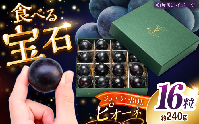 【先行予約：2026年8月下旬より発送】【数量限定】贈り物におすすめ！ピオーネ・ジュエリーBOX 16粒(約240g) 島根県雲南市/ギアファーム [AIAB020]