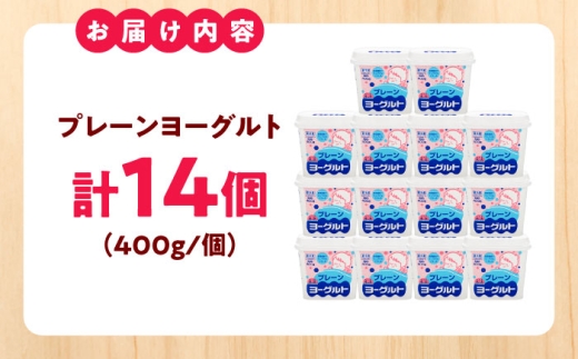プレーンヨーグルト14個セット ヨーグルト プレーン 無糖 乳製品 乳酸菌 健康 アレンジ スイーツ 人気 大容量 島根県雲南市/木次乳業有限会社 [AIBH034]