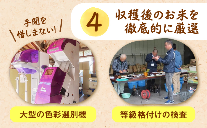 【有機JAS認証】令和7年産 玄米 雲南市産きぬむすめ 10kg 島根県雲南市/佐藤ファーム ｜玄米 コメ 有機栽培 美味しまね認証 [AIEO007]