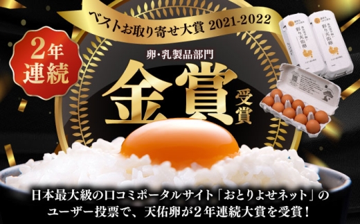 卵《月2回 × 20個 12ヵ月コース》 たたらの里平飼い 彩り天佑卵 全24回定期便 たまご 卵 放牧卵 平飼い卵 国産卵 タマゴ 玉子 鶏卵 鶏 卵黄 月2回 卵20個 12ヵ月 定期 新鮮卵 卵定期便 たまご定期便 卵料理 卵かけごはん 卵焼き 玉子焼き パック卵 便利 ストック卵 人気 美味しい卵 おすすめ 天佑卵島根県雲南市/株式会社たなべたたらの里（たなべ森の鶏舎） [AIDL023]